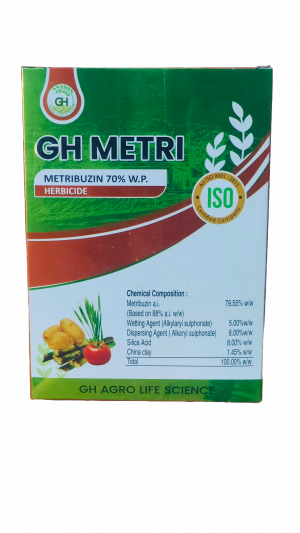 GH-Metri