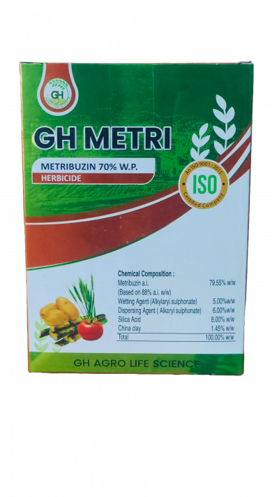 GH-Metri