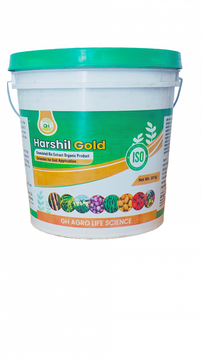 Harshil Gold