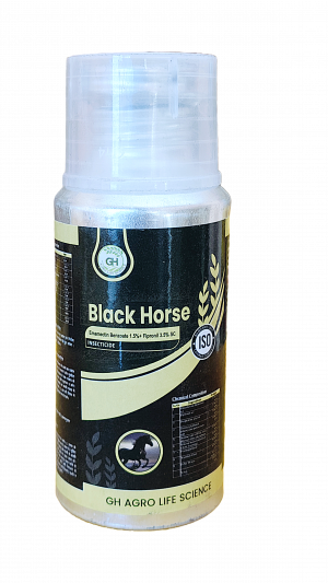 Black Horse