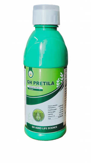 GH-Pretila