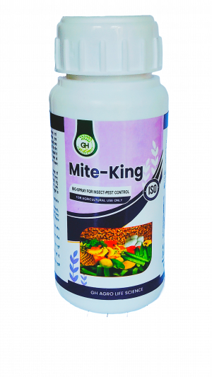 mite-king