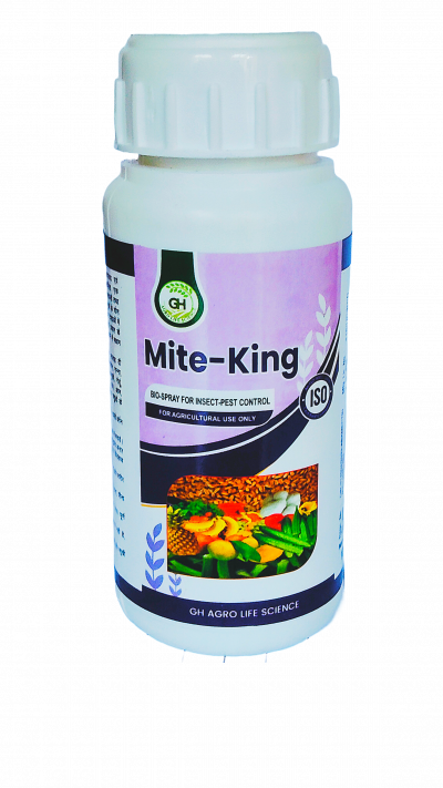 mite-king